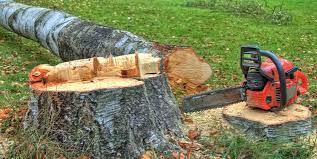 Best Stump Grinding and Removal  in Herald Harbor, MD