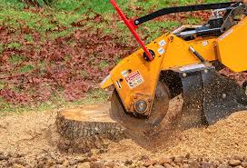 Best Tree Maintenance Programs  in Herald Harbor, MD